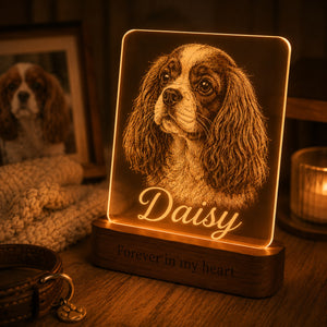 Custom Pet Memorial Lamp
