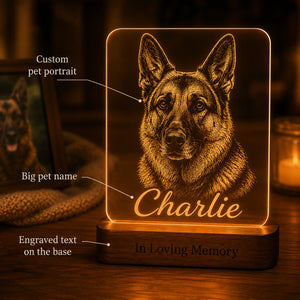 Custom Pet Memorial Lamp