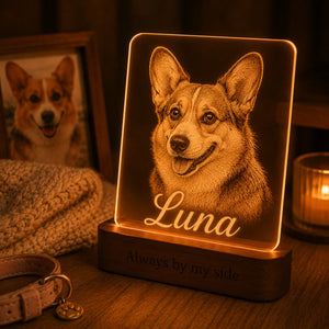 Custom Pet Memorial Lamp