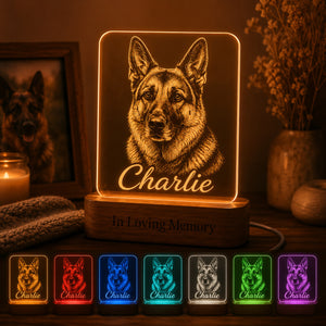 Custom Pet Memorial Lamp